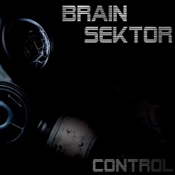 brain sektor control