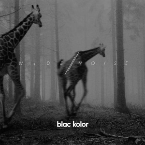 blac-kolor-wide-noise