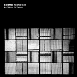 somatic-responses-pattern-seeking