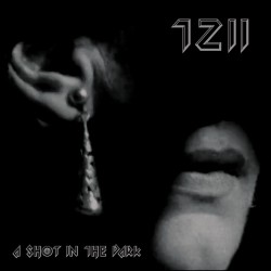 Tzii - A shot in the dark