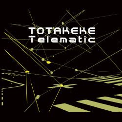 totakeke-telematic