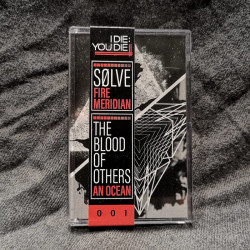 solve - the blood