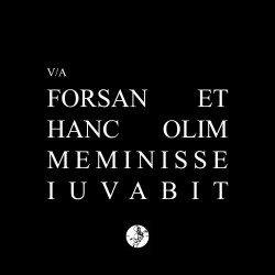 forsan-et-hanc-olim-meminisse-iuvabit