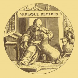 variable-remixes
