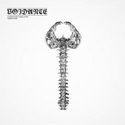 human-spine
